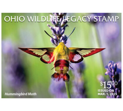 Picture of a moth with text overlay that says, "Ohio Wildlife Legacy Stamp"